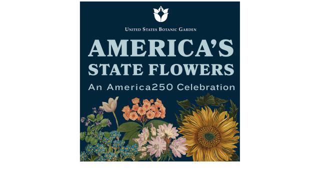 Text: America's State Flowers - An America250 Celebration