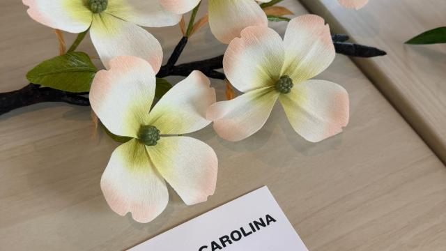 paper flowers in the exhibit with a North Carolina & Virginia label