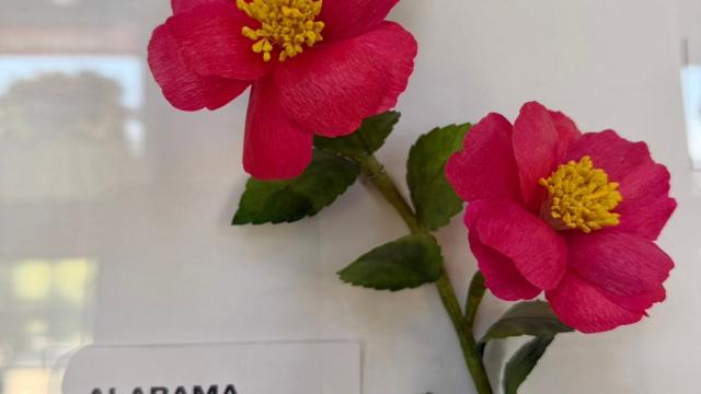 pink paper flowers next to an Alabama label