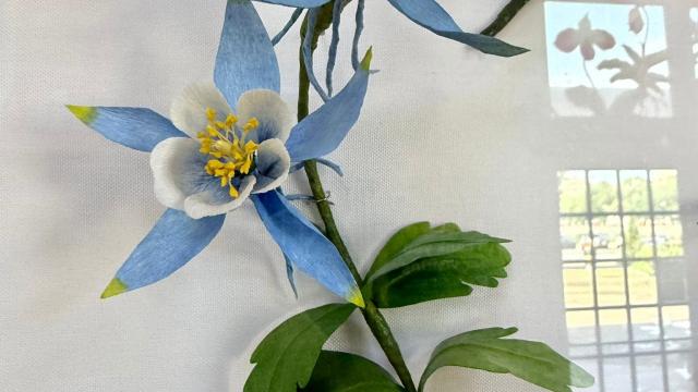 paper flowers in the exhibit with a Colorado label