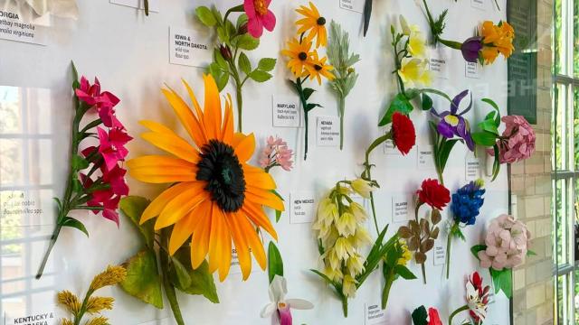 paper flowers on an exhibit board