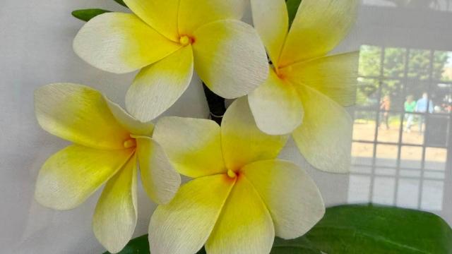paper flowers in the exhibit with a Norther Mariana Islands label