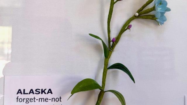 paper blossom in the exhibit with an Alaska label