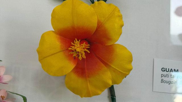 yellow paper flower in the exhibit with a Hawaii label