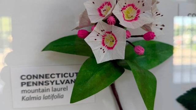 paper flowers in the exhibit with a Connecticut and Pennsylvania label