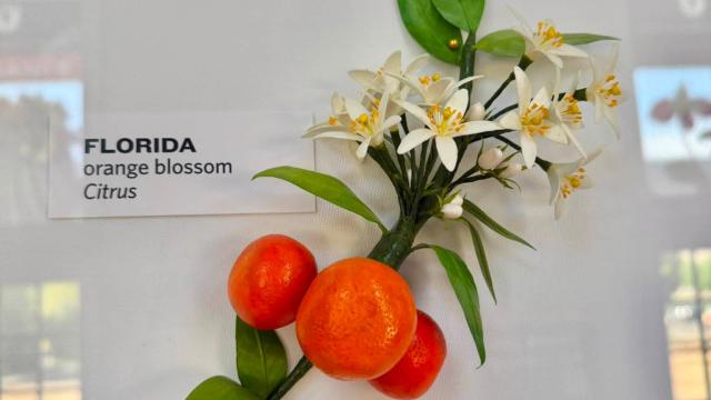paper flowers and citrus in the exhibit with a Florida label