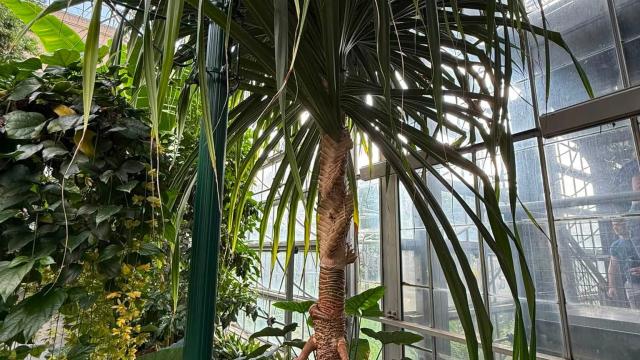 view of full plant