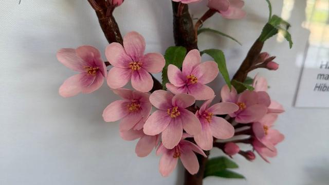 pink paper flowers in the exhibit with a Delaware label