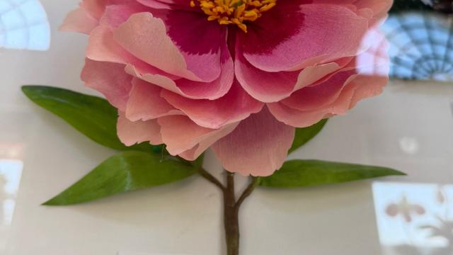 pink paper flower in the exhibit with an Indiana label
