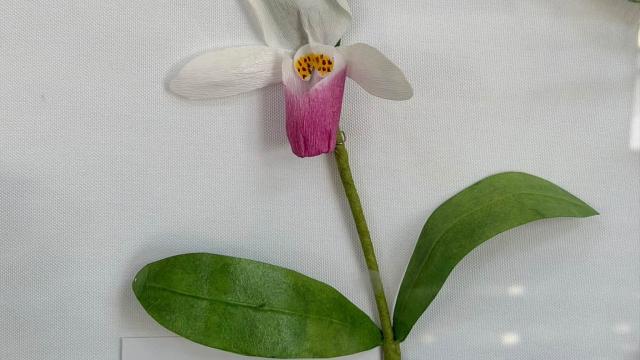 paper flower in the exhibit with a Minnesota label