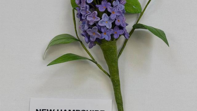 paper flowers in the exhibit with a New Hampshire label
