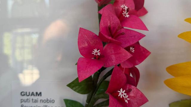 pink paper flowers in the exhibit with a Guam label