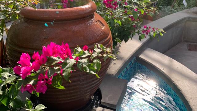 pink flowers in a pot over a pool of water