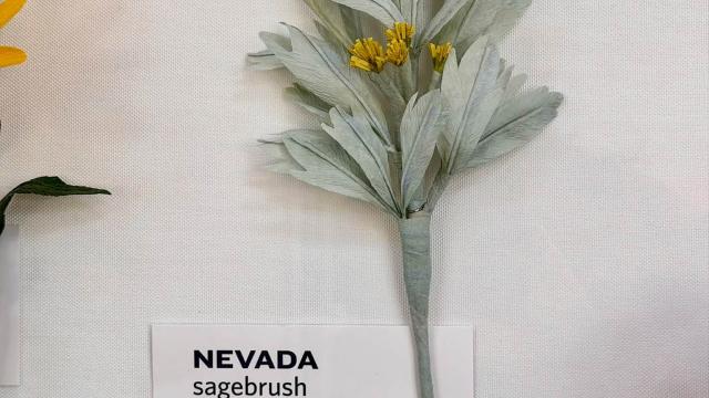 paper flowers in the exhibit with a Nevada label