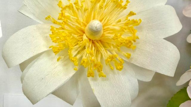 white paper flower in the exhibit with an Arizona label