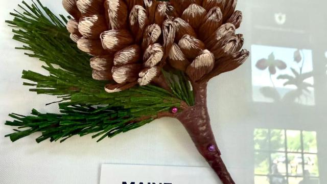 paper pine cone in the exhibit with a Maine label