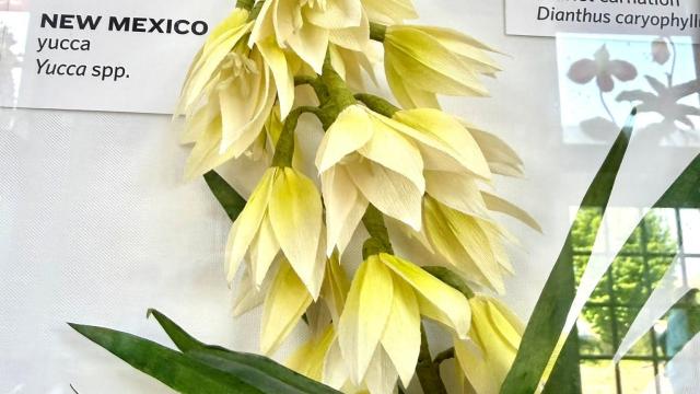 paper flowers in the exhibit with a New Mexico label