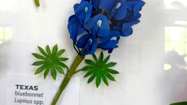 paper flowers with a Texas label at left