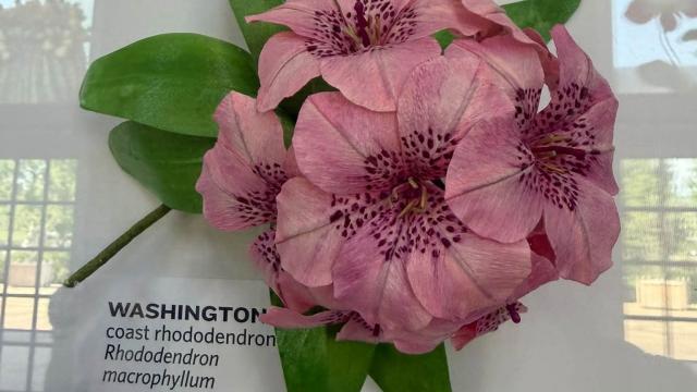 paper flower with a Washington label bottom left