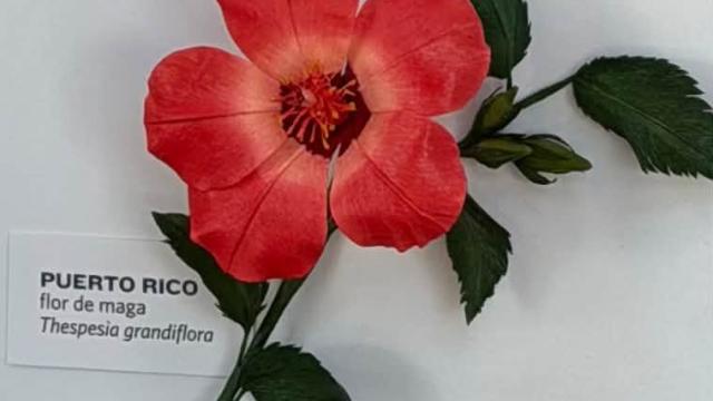 paper flower with a Puerto Rico label bottom left
