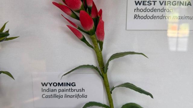 paper flower with a Wyoming label bottom left