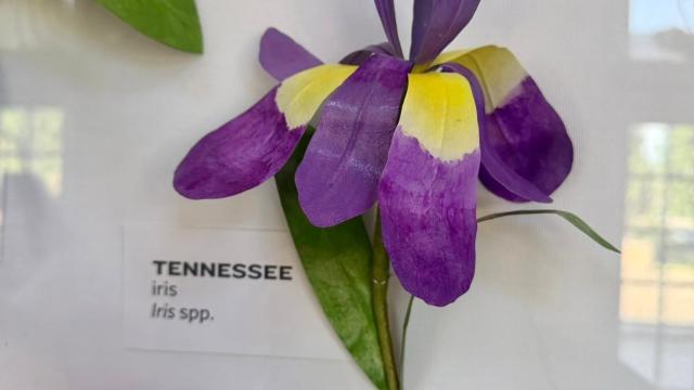 paper flower with a Tennessee label at left
