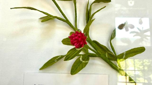 paper flowers with a Vermont label below