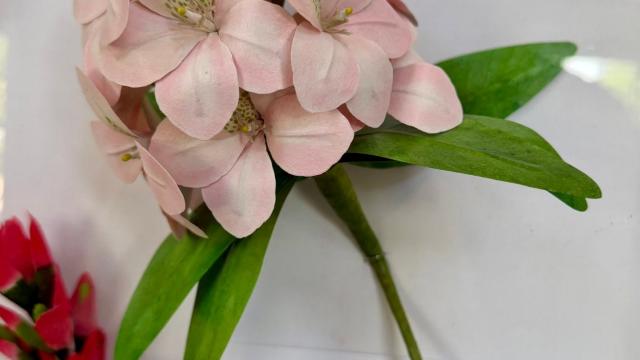 paper flowers with a West Virginia label below