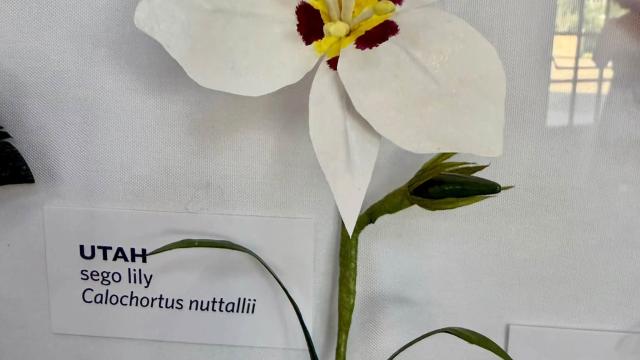 paper flower with a Utah label at left