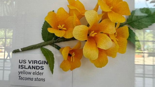 paper flower with a U.S. Virgin Islands label bottom left