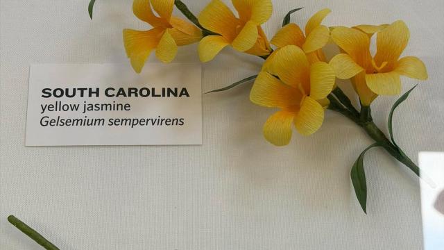 paper flowers with a South Carolina label at left