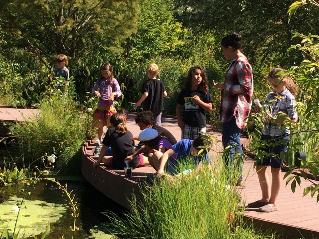 Students explore the outdoor gardens