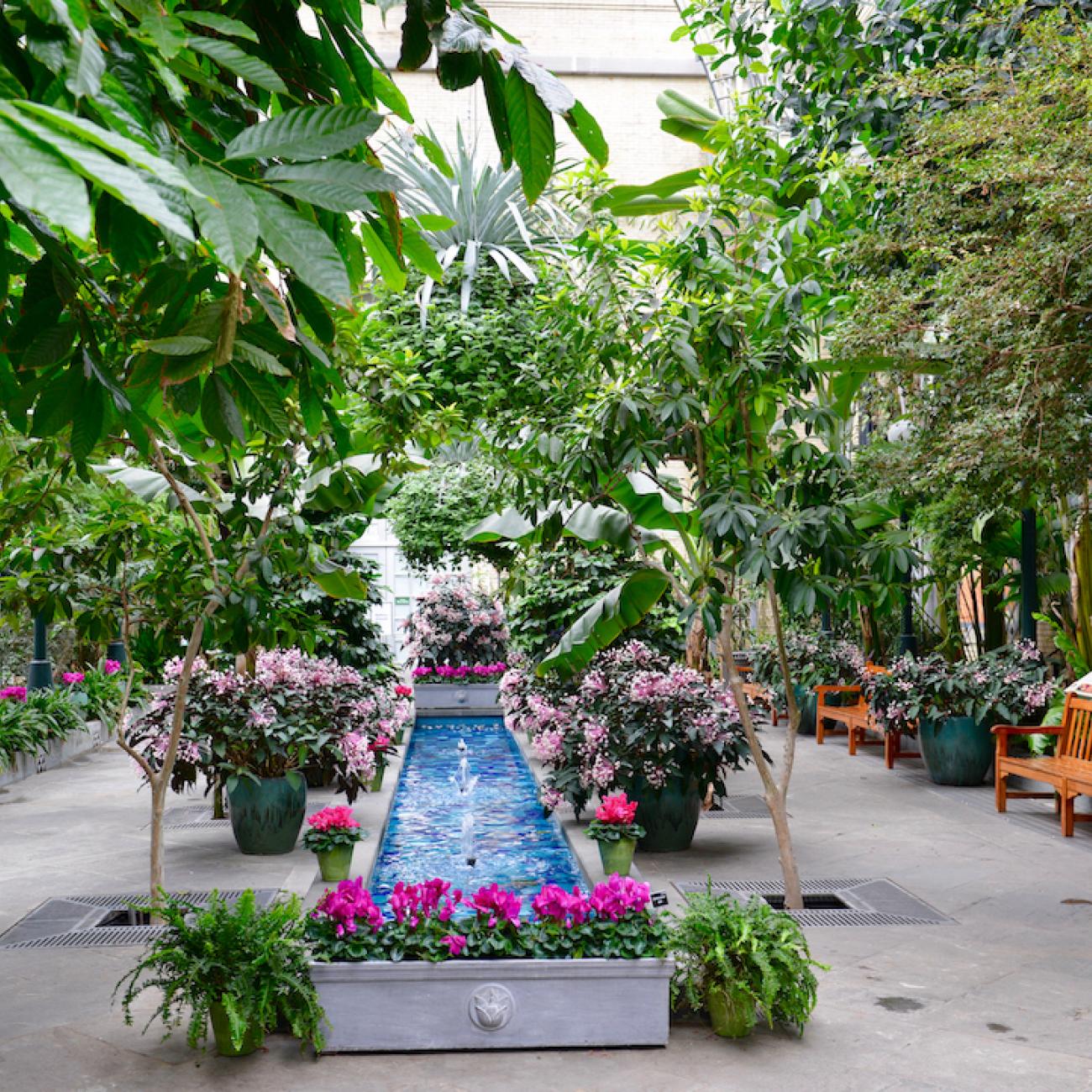 Conservatory Garden Court with a long pool and fountain and pink flowers surrounding