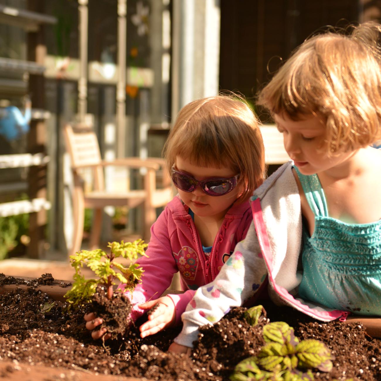 Two girls plant a green plant