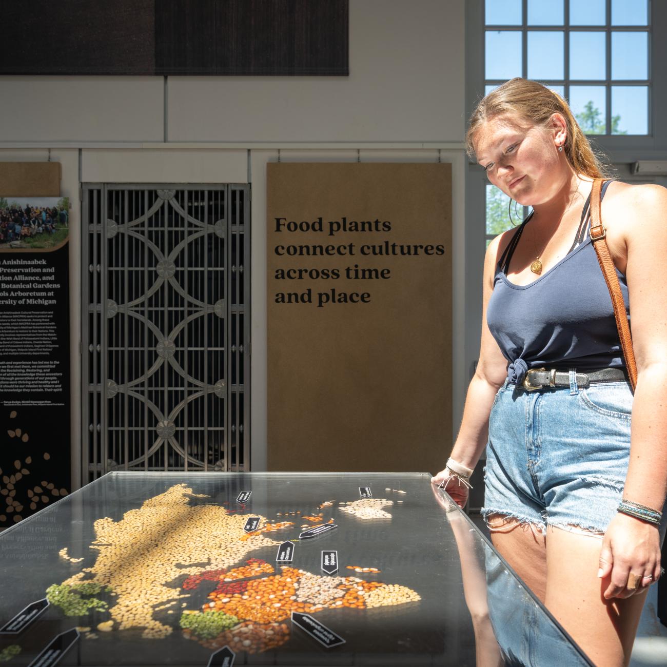 A visitor reads a map of grains of the world in Cultivate agriculture exhibit