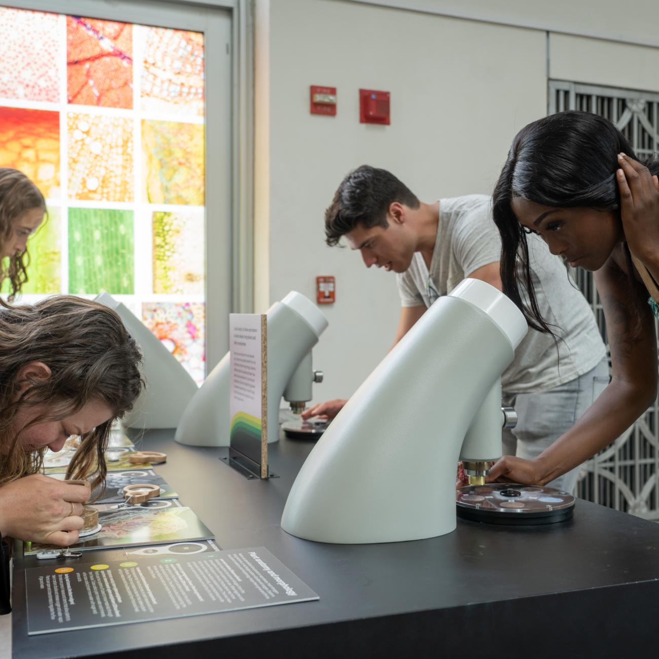 Visitors look into microscopes