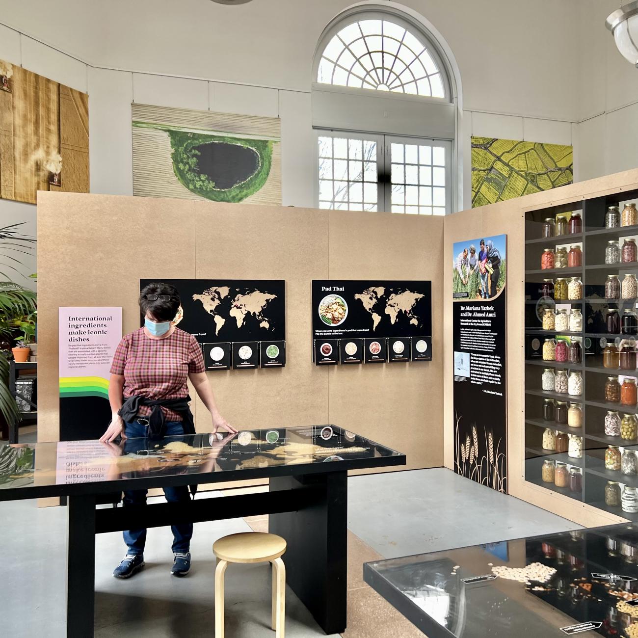 A visitor looks at a table showing grains of the world