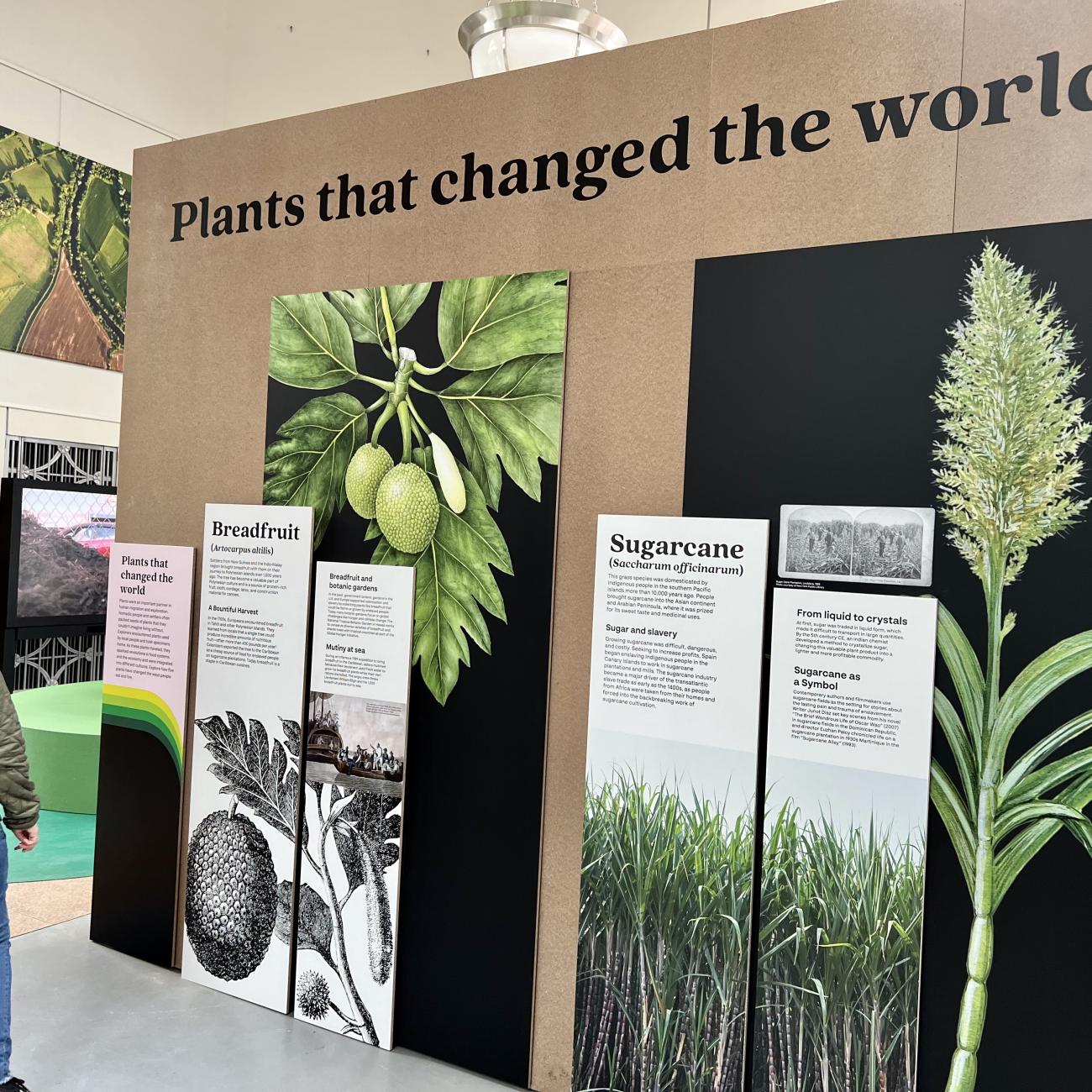 A visitor reads about plants that changed the world