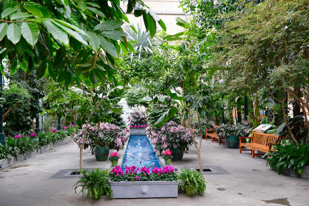 https://www.usbg.gov/sites/default/files/styles/max_2600x2600/public/2022-08/Conservatory+Garden+Court%2C+U.S.+Botanic+Garden+copy.jpg?itok=iEZKUPL2