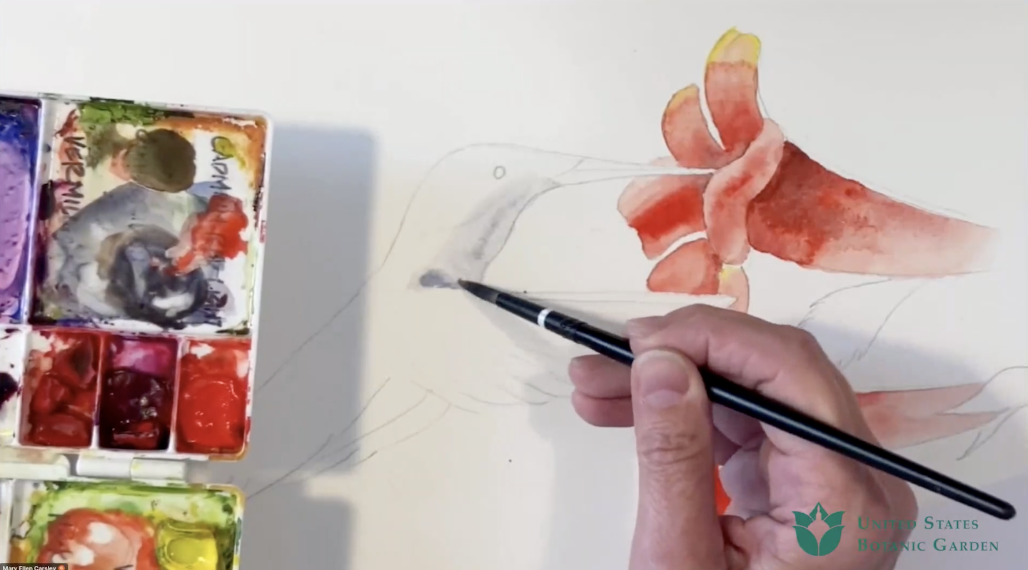 a person holds a small black paintbrush, coloring a hummingbird with paint alongside