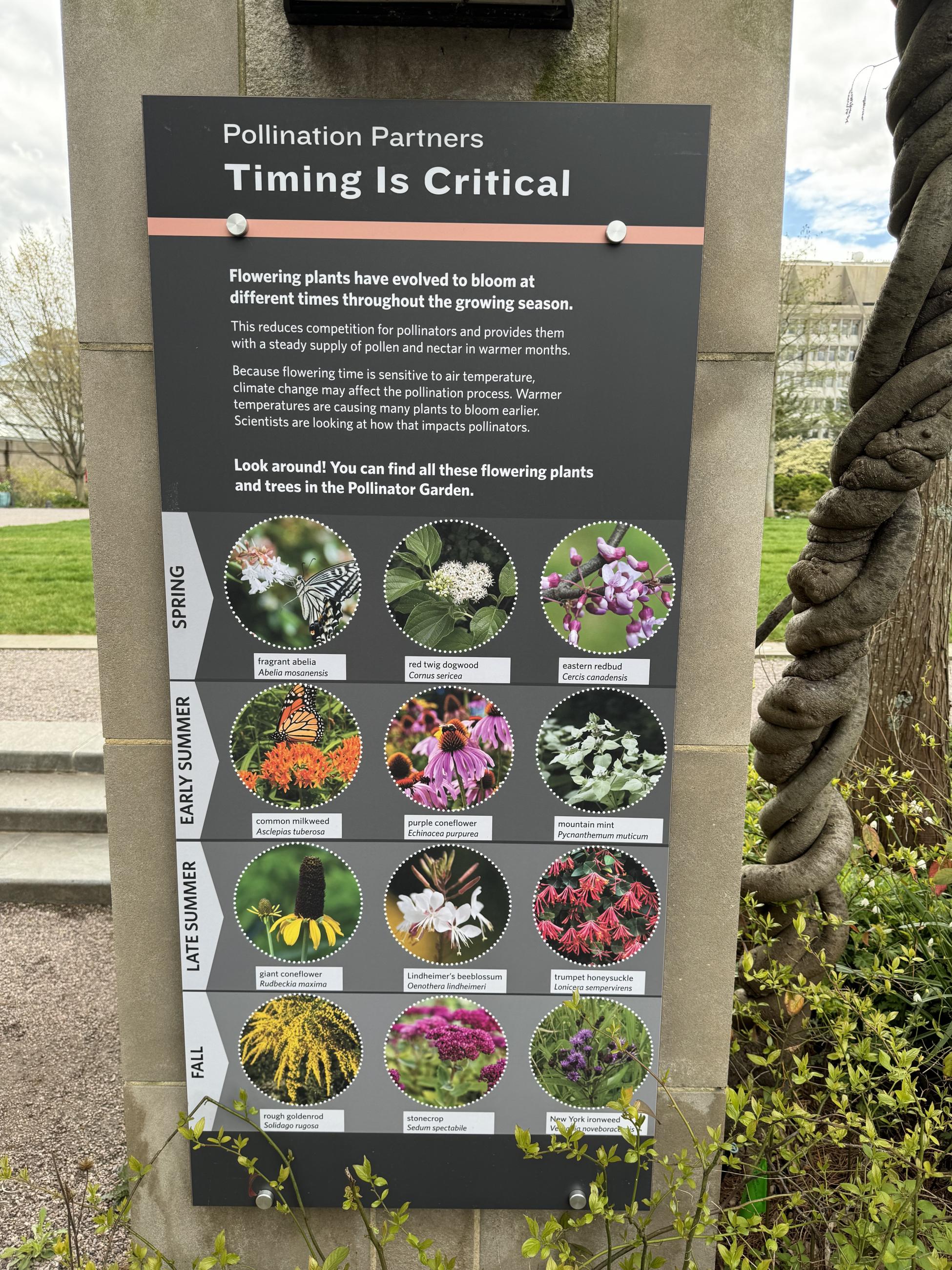 A sign in an outdoor garden shows multiple plants that bloom in different seasons, attracting different pollinators