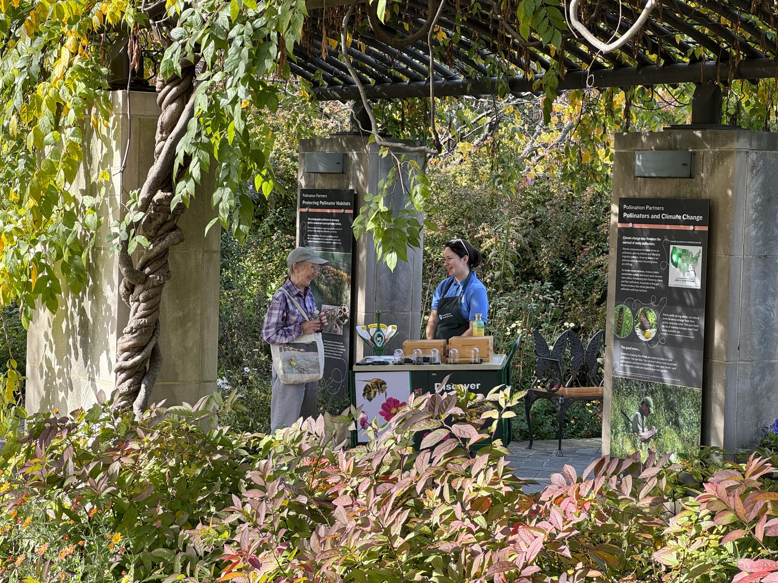 A volunteer talks about pollinators with a visitor, alongside Pollinator signage