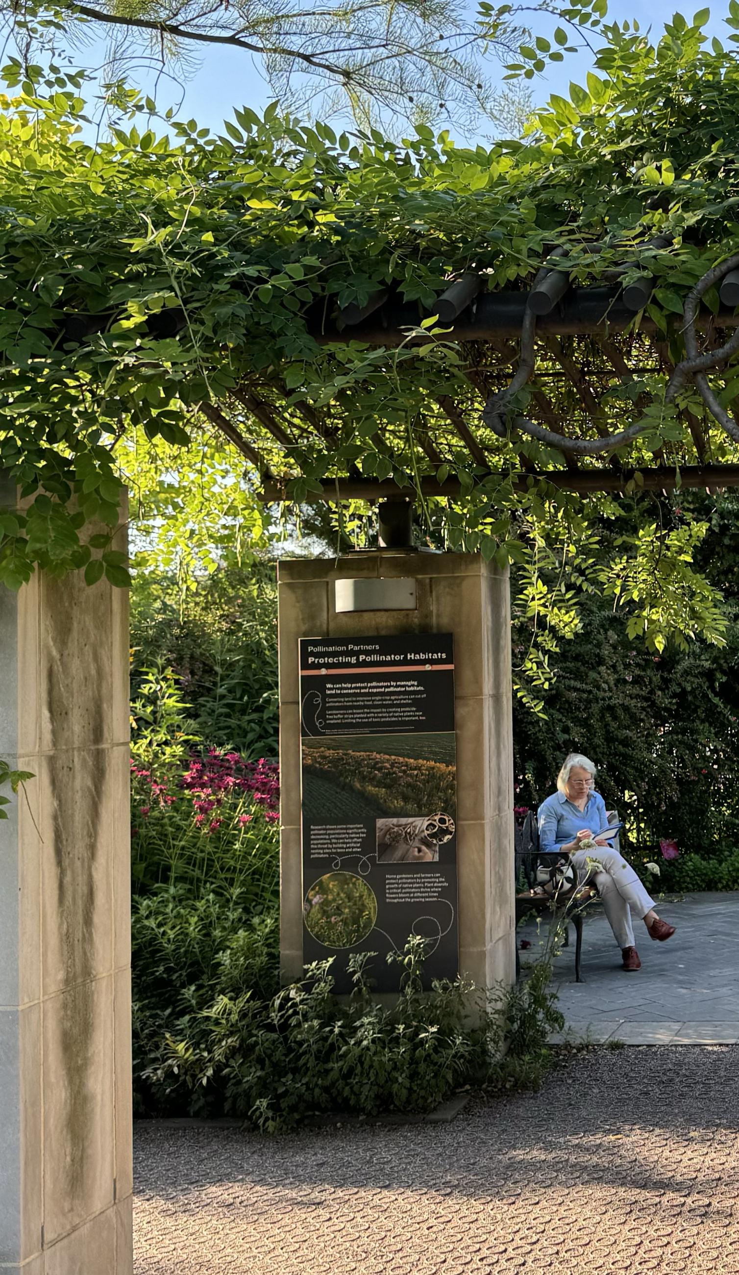 A visitor sits beside a sign about Protecting Pollinator Habitats in outdoor gardens