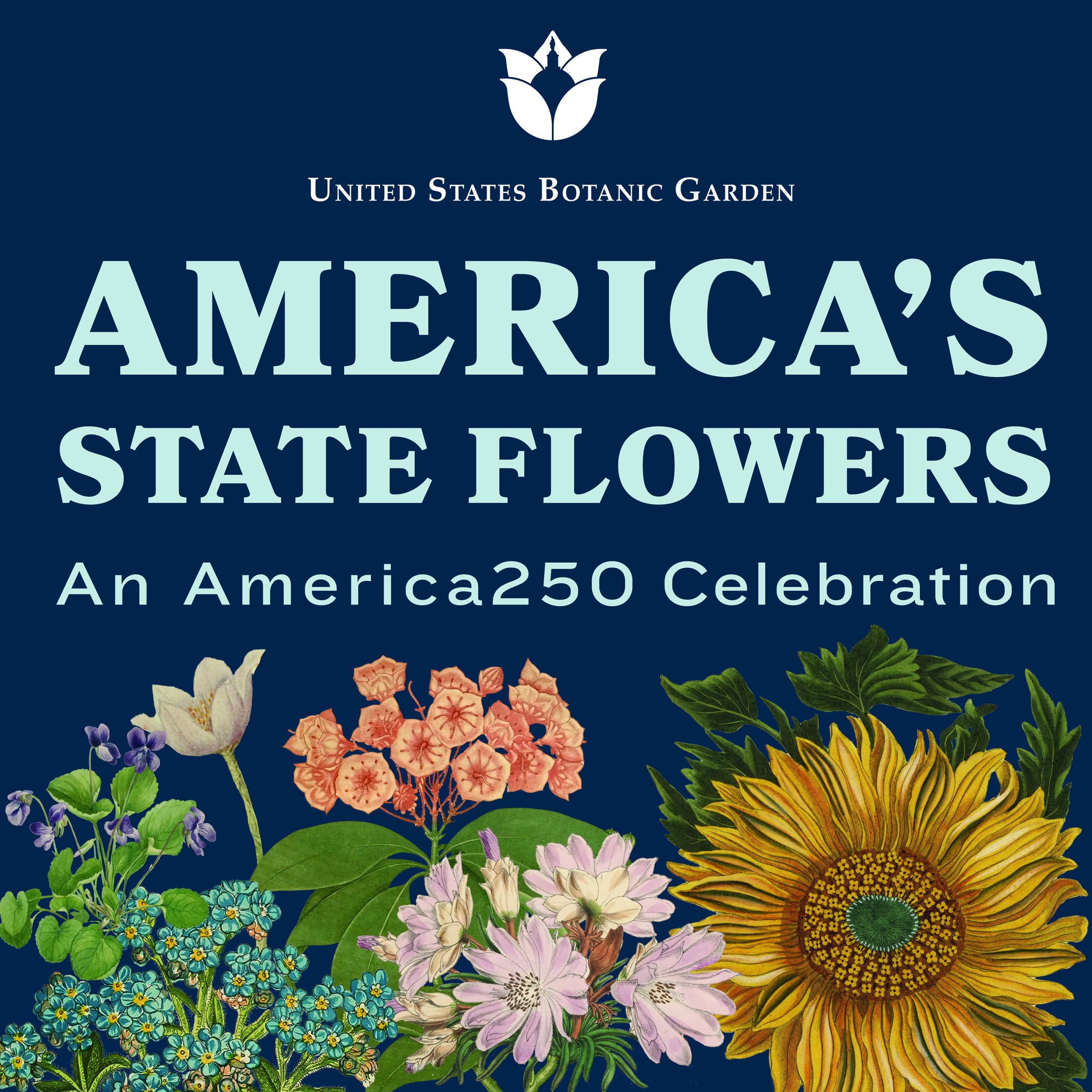 Text: America's State Flowers - An America250 Celebration with images of colorful flowers