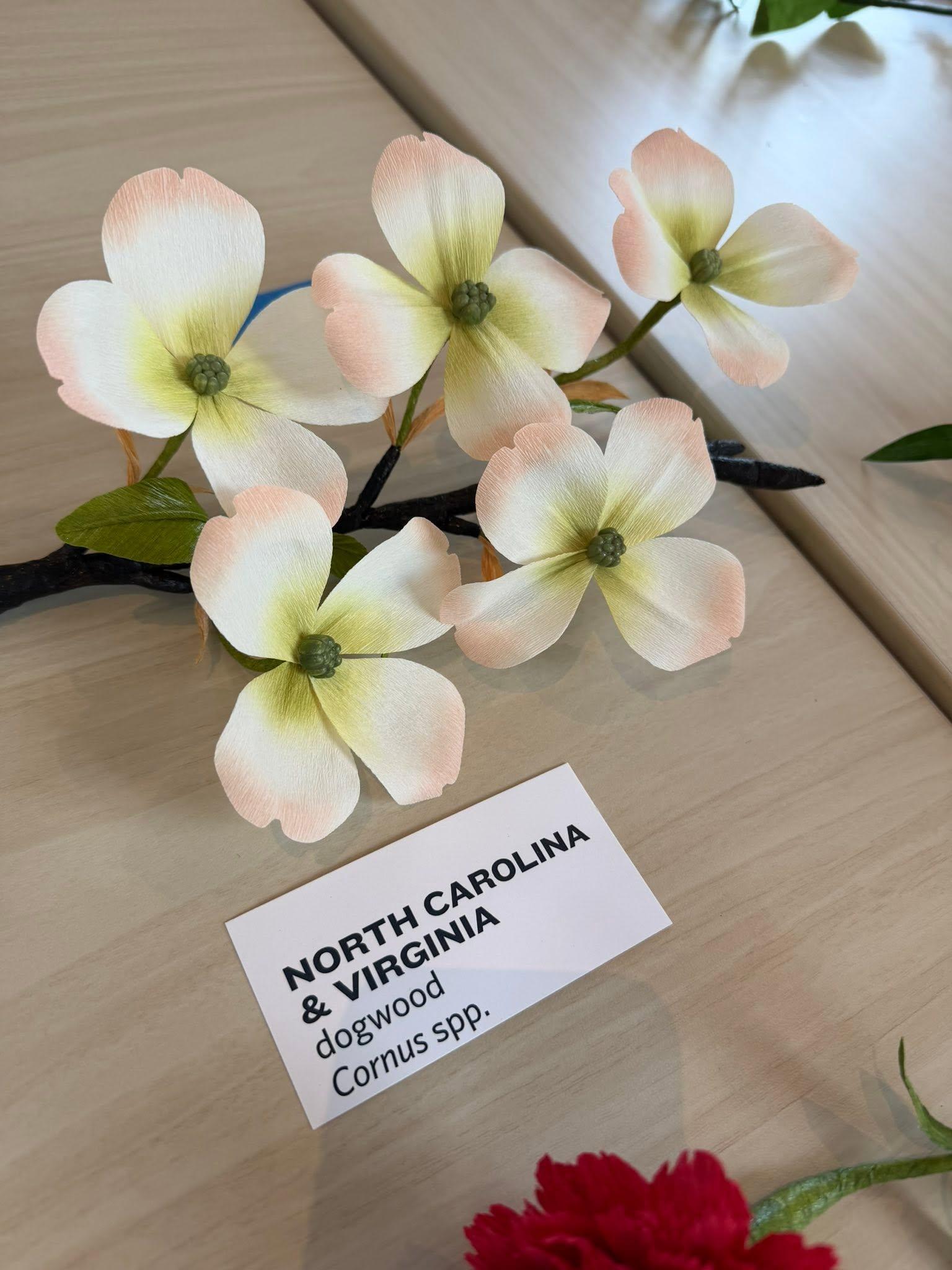 paper flowers in the exhibit with a North Carolina & Virginia label