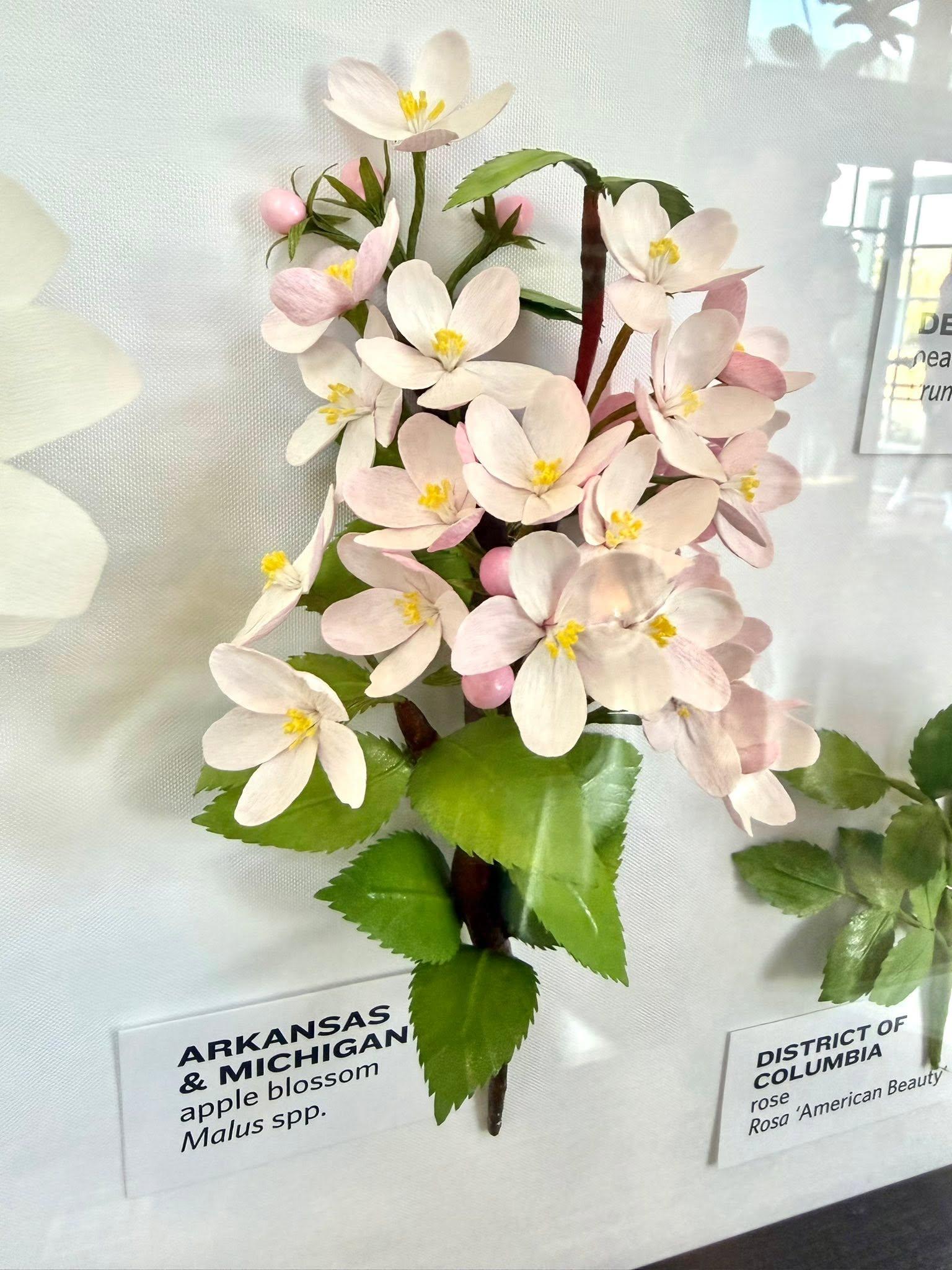 paper flowers in the exhibit with an Arkansas & Michigan label
