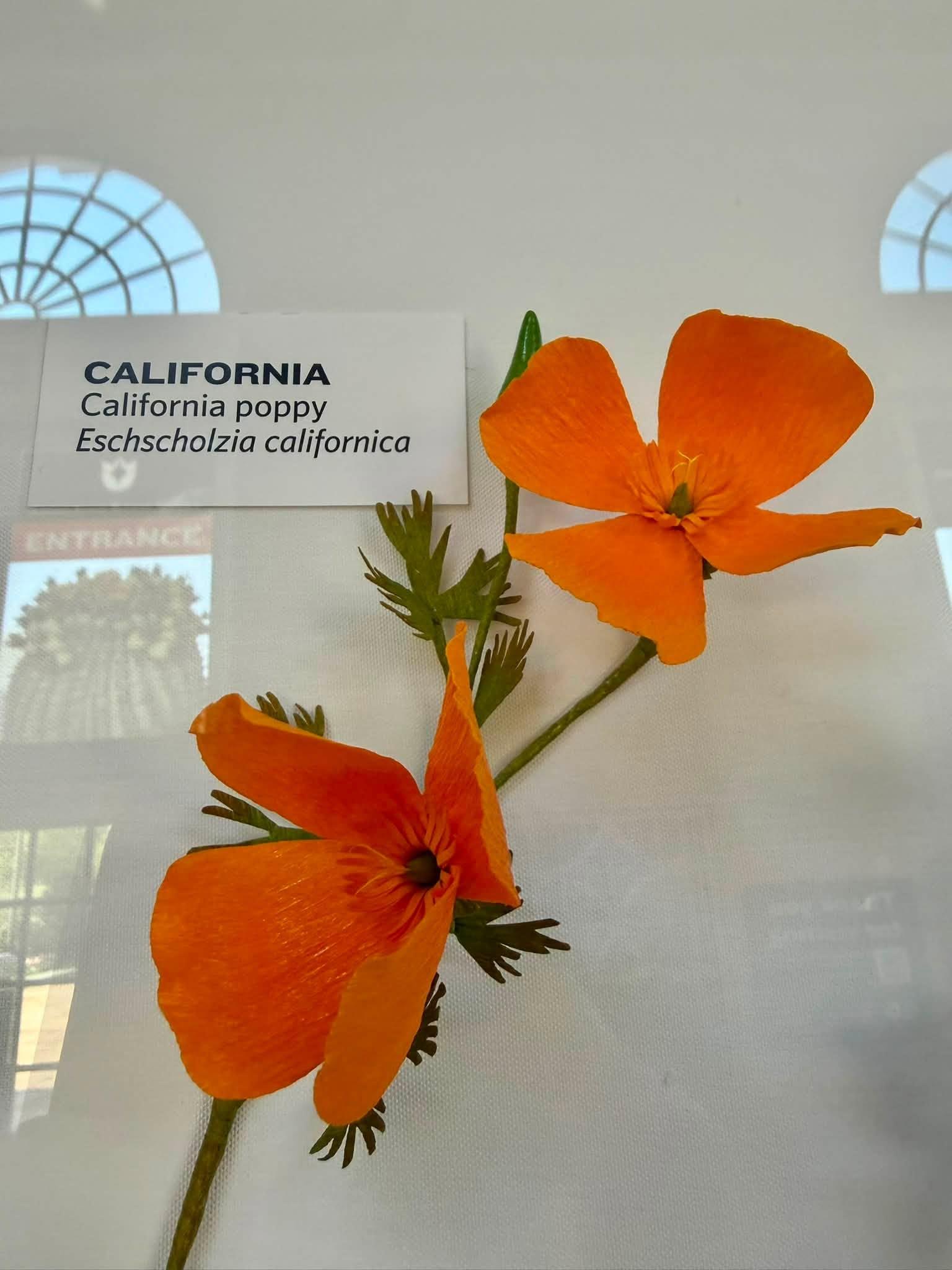 orange paper flowers in the exhibit with a California label