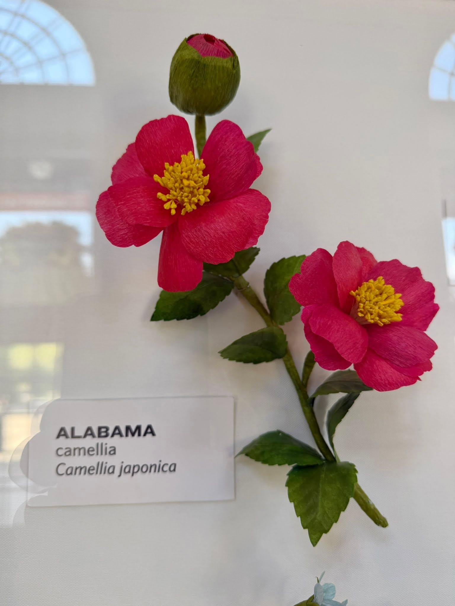 pink paper flowers next to an Alabama label