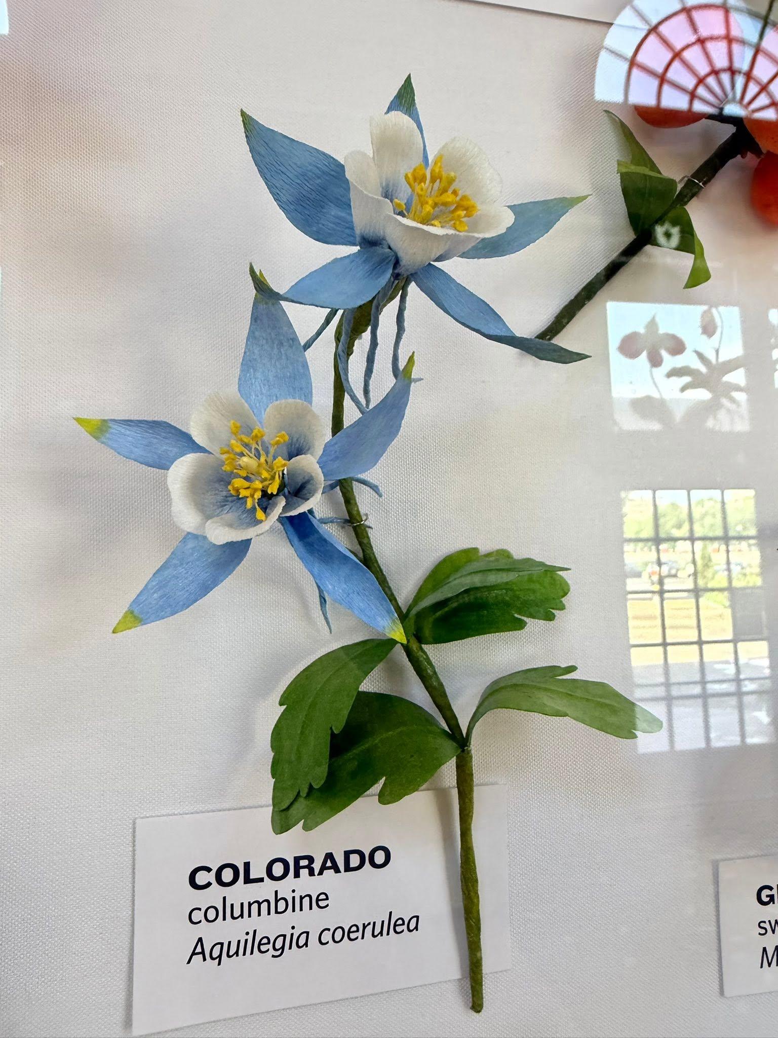 paper flowers in the exhibit with a Colorado label