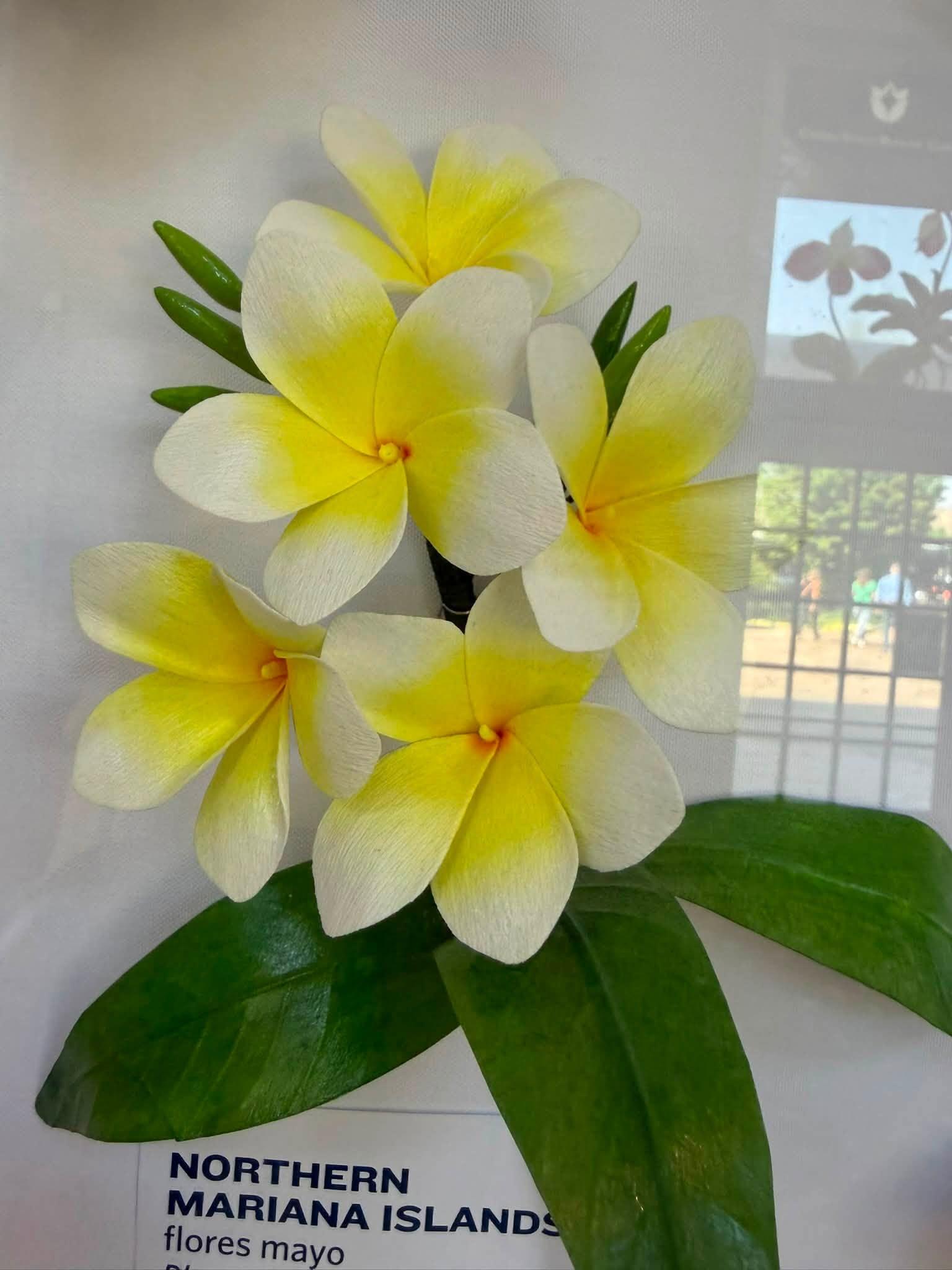 paper flowers in the exhibit with a Norther Mariana Islands label